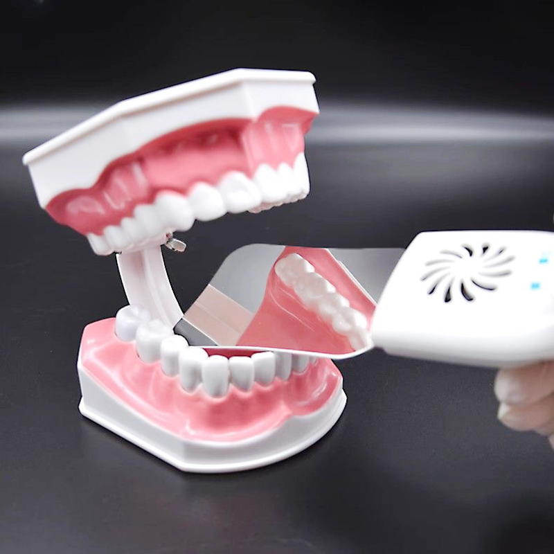 Stainless Steel Dental Plate S - Photography Lighting Tools ulasan dan harga